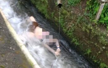 Warga Cikubang Digegerkan Penemuan Mayat Perempuan Mengambang di Sungai