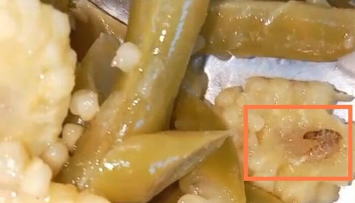 Viral, Video Dugaan Ulat dalam Menu MBG di Bojonggambir Tasikmalaya