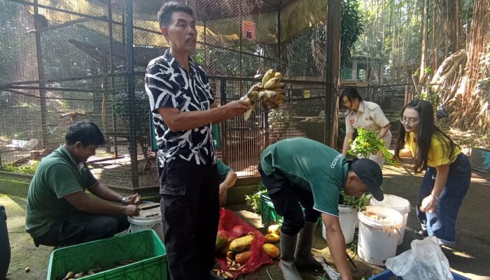 Pakan 694 Satwa Kebun Binatang Bandung Masih Ditanggung Pemkot, Biaya Capai Rp15 Juta per hari