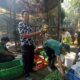 Pakan 694 Satwa Kebun Binatang Bandung Masih Ditanggung Pemkot, Biaya Capai Rp15 Juta per hari