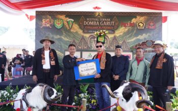 Ribuan Pengunjung Padati Festival Domba Garut Piala Pangdam III/Siliwangi di Cimahi