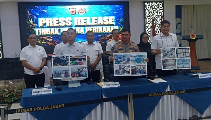 Polda Jabar Bongkar Perdagangan Benih Lobster di Pangandaran, 4 Pelaku Terancam 8 Dipenjara