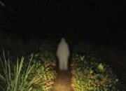Heboh Warga Batulawang Cikalong Tasikmalaya Dicegat Sosok Putih Misterius