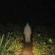 Heboh Warga Batulawang Cikalong Tasikmalaya Dicegat Sosok Putih Misterius