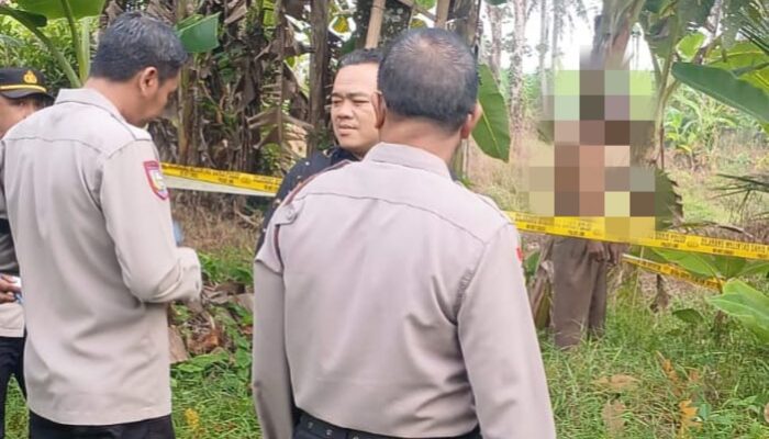 Geger, Seorang Lansia Ditemukan Tewas Tergantung di Perkebunan Kota Banjar