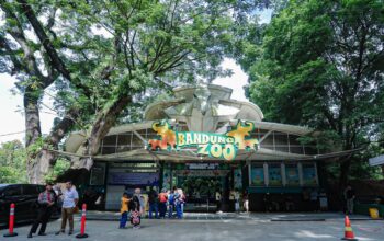 Pemkot Bandung Resmi Tunjuk PT Fauna Land Ancol Jadi Pengelola Baru Bandung Zoo