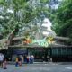 Pemkot Bandung Resmi Tunjuk PT Fauna Land Ancol Jadi Pengelola Baru Bandung Zoo