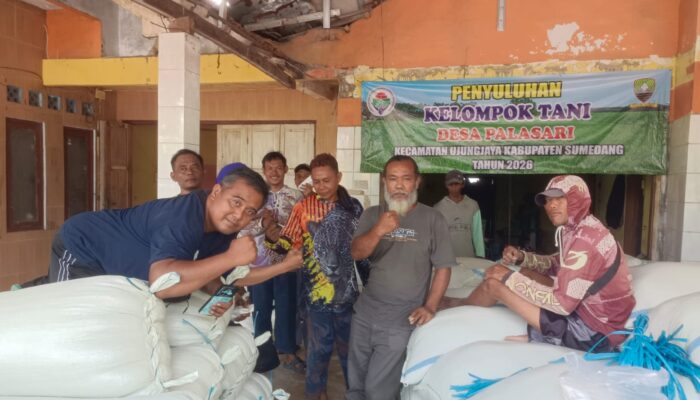 Sinergi Sukses: Bantuan Alsintan dan Bibit Pemerintah Dongkrak Kesejahteraan Petani Ujungjaya