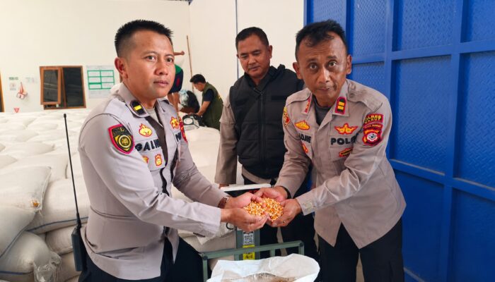Dukung Ketahanan Pangan, Polsek Pasirwangi Pasok 5 Ton Jagung Pipil ke Bulog Garut