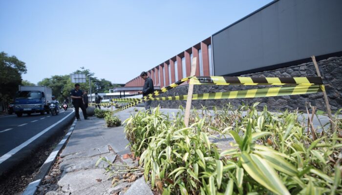 Penebangan Liar Pohon di Jalan Riau Bikin Geram, Farhan Siap Seret Pelaku ke Ranah Hukum