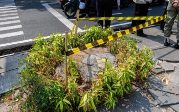 Buntut Penebangan Pohon Riau, Pemkot Bandung Sisir Perizinan Usaha Hingga Keterlibatan Oknum ASN