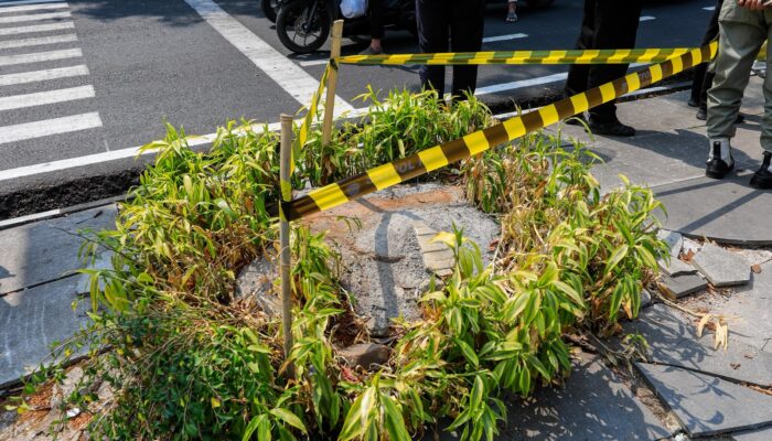 Buntut Penebangan Pohon Riau, Pemkot Bandung Sisir Perizinan Usaha Hingga Keterlibatan Oknum ASN