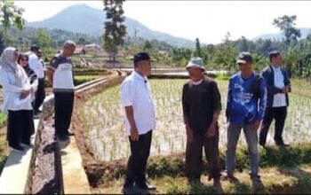 Sinergi Kementan dan Pemkab Sumedang: Bangun Irigasi Tersier demi Gembleng Produktivitas Tani