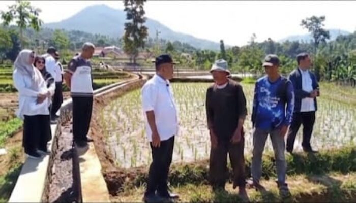 Sinergi Kementan dan Pemkab Sumedang: Bangun Irigasi Tersier demi Gembleng Produktivitas Tani