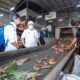Dongkrak Nilai Ekonomi Sampah, Pemkot Bandung Dorong TPST Tegalega Produksi Briket RDF
