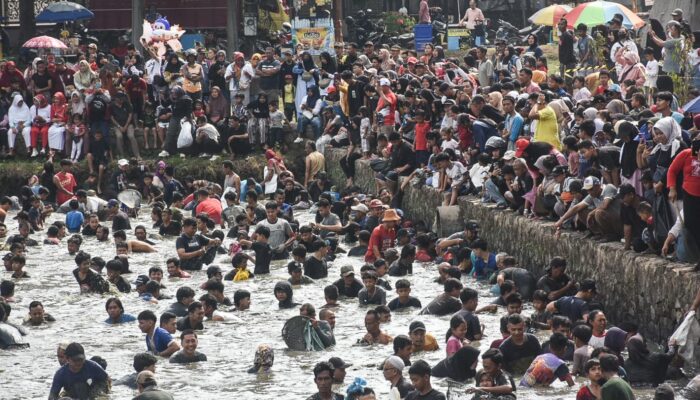Kolam Al Kamil Diisi 1,5 Ton Ikan | Meriahkan HUT RI
