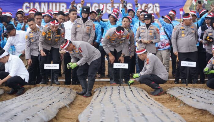 Genjot Swasembada Pangan, Polri Tebar Bibit Bawang Putih Serentak di Jawa Barat