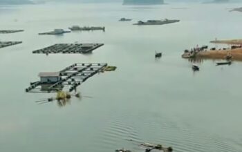Bebaskan Waduk Jatigede dari KJA Ilegal, Pemkab Sumedang Dorong Transisi ke Sektor Pariwisata