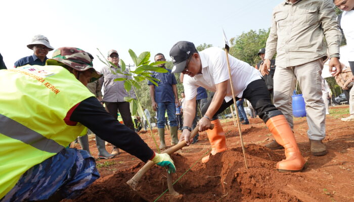 Geliat Ekonomi Warga Subang di Balik Revitalisasi Kebun Karet Jalupang