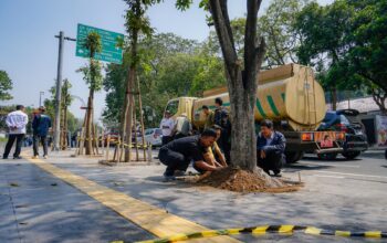 Tindak Lanjut Penebangan Liar, DPKP Bandung Tanam 10 Pohon Mahoni Pengganti di Jalan Riau