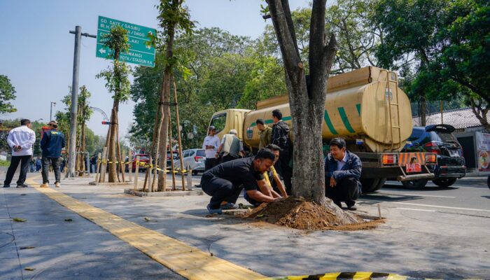 Tindak Lanjut Penebangan Liar, DPKP Bandung Tanam 10 Pohon Mahoni Pengganti di Jalan Riau