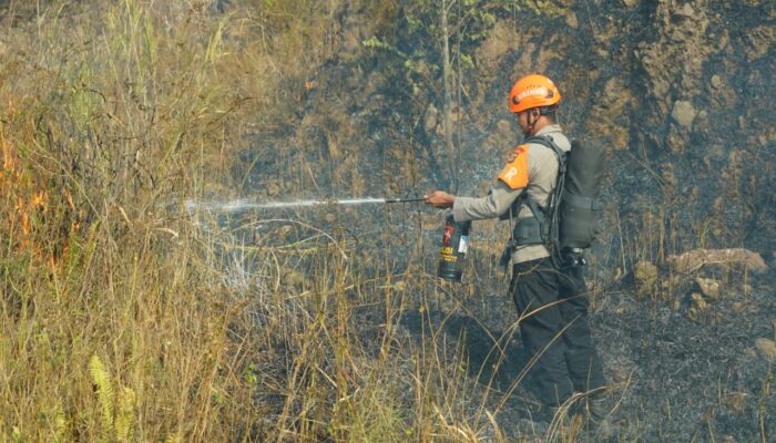 Polda Jabar dan Polres Sumedang Cepat Tanggap Padamkan Karhutla di Gunung Geulis Jatinangor ​