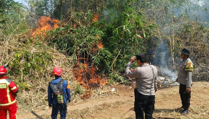 Lahan Warga Cibukamanah Purwakarta Terbakar, Polisi, Damkar dan Warga Berjibaku Jinakkan Api