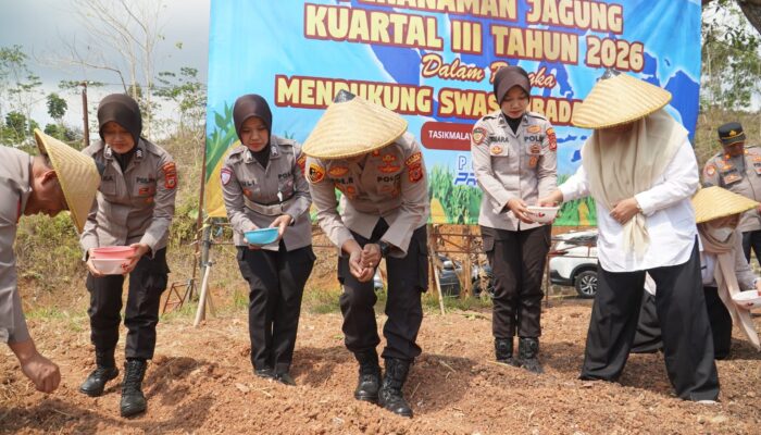 Terus Dukung Ketahanan Pangan, Polres Tasikmalaya Tanam Jagung Lagi 5 Hektare
