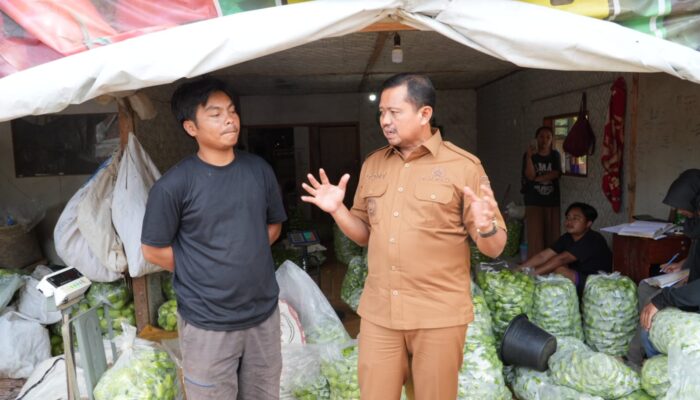 Potensi Pertanian Labu Siam di Cibugel Sumedang Tembus Pasar Luar Daerah, Bupati Dony Beri Apresiasi Petani Milenial