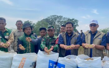 BULOG Pecahkan Rekor Pengadaan Beras, Tembus 4,11 Juta Ton