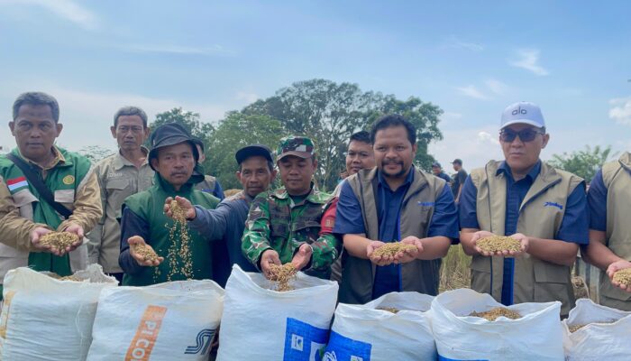 BULOG Pecahkan Rekor Pengadaan Beras, Tembus 4,11 Juta Ton