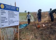 Bantu Pengairan Petani Desa Soge, Kuwu Ahmad Maulana Apresiasi Program Irpom Kementan