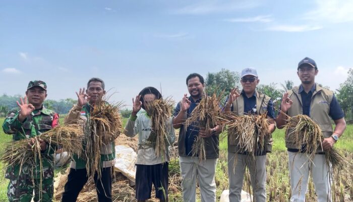 Target Pengadaan Beras 2026 Tembus 100 Persen, BULOG Jabar Tegaskan Tetap Serap Hasil Panen Petani