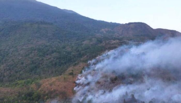 Kebakaran Lereng Gunung Ciremai Meluas, 742 Personel Gabungan Diterjunkan ​